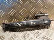 Türgriff links vorne Lexus RX 2 (U3)