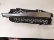 Gitter vorne unten JAGUAR XF (X250) 2.7 D 8X2315K232