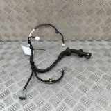 Türverkabelung hinten rechts HONDA CIVIC X Hatchback (FC_, FK) 2.0 Type-R (FK8) 32754-TGG-A002
