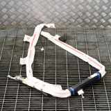 Dach SRS rechts TESLA MODEL S 75 1005262-00-D