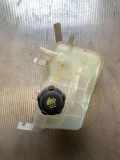 AUSGLEICHSBEHÄLTER KÜHLWASSER RENAULT GRAND SCÉNIC III (JZ0/1_) 1.9 dCi 217100005R