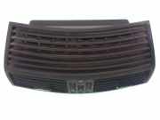 Gitter MERCEDES-BENZ S (W220) S 63 AMG 2208300554
