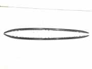 Dachreling-Set BMW X5 (G05) (G05, F95)