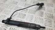Einspritzdüse AUDI A3 (8L1) 1.9 TDI 028130201S