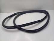 Türgummi rechts vorne Mercedes-Benz C-Klasse (W205) A2056363800