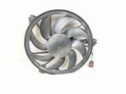 Kühlmodul Peugeot 206 CC () 9643386780