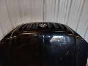 Motorhaube HYUNDAI TERRACAN (HP) 2.9 CRDi 4WD