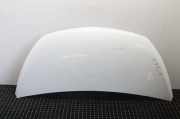 Motorhaube Opel Vivaro B Kasten (X82)