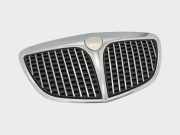 Gitter Grill vorne links LANCIA YPSILON (843_) 1.3 JTD 735361078