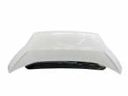 Motorhaube FIAT DUCATO Furgon (244_) 2.3 JTD 1374205080