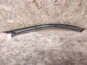 Zierleiste Windschutzscheibe Frontscheibe PEUGEOT 607 (9D, 9U) 2.7 HDi 24V 300536