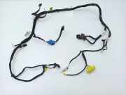 Kabelbaum MERCEDES-BENZ S (W223) S 350 d (223.030) A2218002015 2215402633