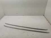 Dachreling links VW Passat B8 (3G)