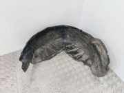 Radhaus links hinten Renault Grand Scenic II (JM)