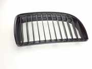 Vorderer oberer Gitter BMW 3 Touring (E91) 320 d xDrive 7120010