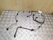Kabelbaum Hinteren Parksensoren NISSAN QASHQAI II (J11, J11_) 1.5 dCi 24017JD00A