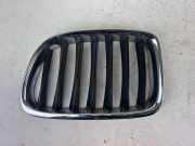 Vorderer oberer Gitter BMW X1 (E84) sDrive 20 d 2993307