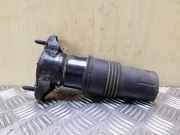 Stoßdämpferhalter hinten rechts MERCEDES-BENZ M (W164) ML 320 CDI 4-matic (164.122)