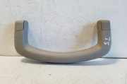 Griff Panoramadach Nissan Pathfinder III (R51)