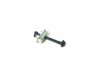 Türanschlag hinten links