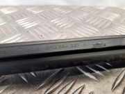 Zierleiste Windschutzscheibe Frontscheibe