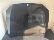 Motorhaube MERCEDES-BENZ E (W213) E 400 d (213.020) 197