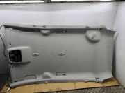 Dachverkleidung FORD GRAND C-MAX (DXA/CB7, DXA/CEU) 2.0 TDCi