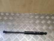 Gasfeder für Motorhaube BMW 5er (E39) 51238174866