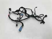 Kabelbaum Tesla Model S (5YJS) P306795600A