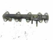 Auspuffkrümmer Hyundai Santa Fe III (DM)