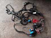 Motor Kabelbaum DACIA DUSTER 1.6 16V 4x4 240117129R