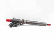 Düsenstöcke Volvo V70 III (135) 31303238