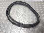 Türdichtung BMW 1er (E87)