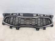 Ziergitter Kia Ceed 2 (JD) 86351A2010