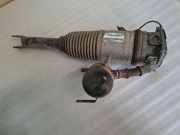 Pneumo-Stoßdämpfer hinten links AUDI A8 D3 (4E2, 4E8) 3.0 TDI quattro 169ATE047B3EA0W