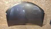Motorhaube TOYOTA RAV 4 IV (_A4_) 2.0 D 4WD (ALA41_) K82516K
