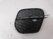 Gitter vorne unten BMW X5 (E70) xDrive 50 i 7222858