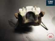 Bremsscheibe links hinten VW Polo V (6R, 6C) 6R0615423