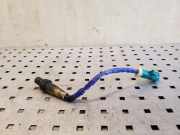 Sauerstoffsensor (Lambdasensor) FORD FOCUS IV (HN) 1.0 EcoBoost