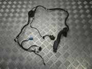 Kabel Tür Audi A5 Sportback (5FA) 8W8971687