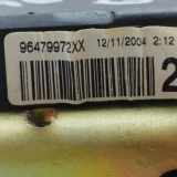 Sicherheitsgurt rechts hinten Peugeot 307 SW () 96479972XX