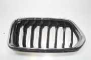 Gitter Grill vorne links BMW X2 (F39) X2 xDrive20d 7424777