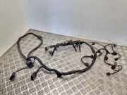 Kabel Motor VW Passat B7 Alltrack (36, B7)