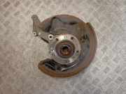 Radlagergehäuse rechts hinten Skoda Yeti (5L) 3C0505436G