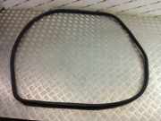 Türgummi rechts vorne BMW X3 (F25) 7311258