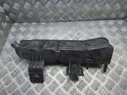 Kraftstoffdampffilter (EVAP) PEUGEOT 208 II (UB_, UP_, UW_, UJ_) 1.2 PureTech 100 9829656180