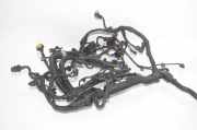 Motor Kabelbaum BMW 7 (G11, G12) 750 d, Ld xDrive 8595244
