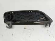 Gitter vorne unten BMW X3 (F25) xDrive 30 d 105034