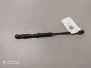 Heckklappe Gasdruckfeder rechts PEUGEOT 407 Coupe (6C_) 2.7 HDi 0450N 9650870280