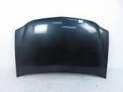Motorhaube DACIA LOGAN MCV (KS_) 1.6